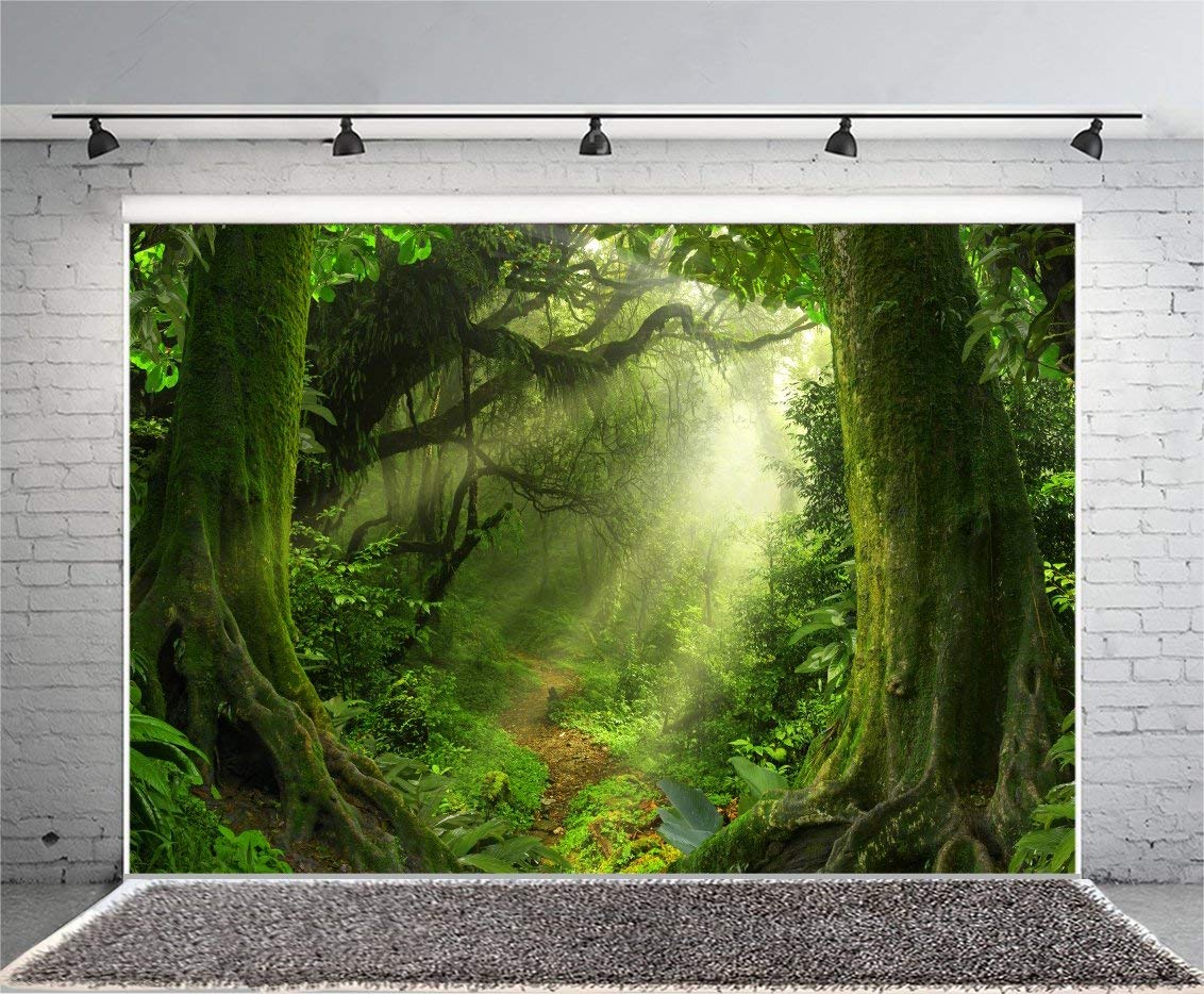 Leowefowa 10x8ft Jungle Forest Photography Backdrop - Old Trees with Green Vines & Dirt Road Fairytale Scene - Vinyl Photo Background for Kids Portraits, Baby Photos, Studio Props - Perfect for Birthday Parties, Baby Showers & Themed Events