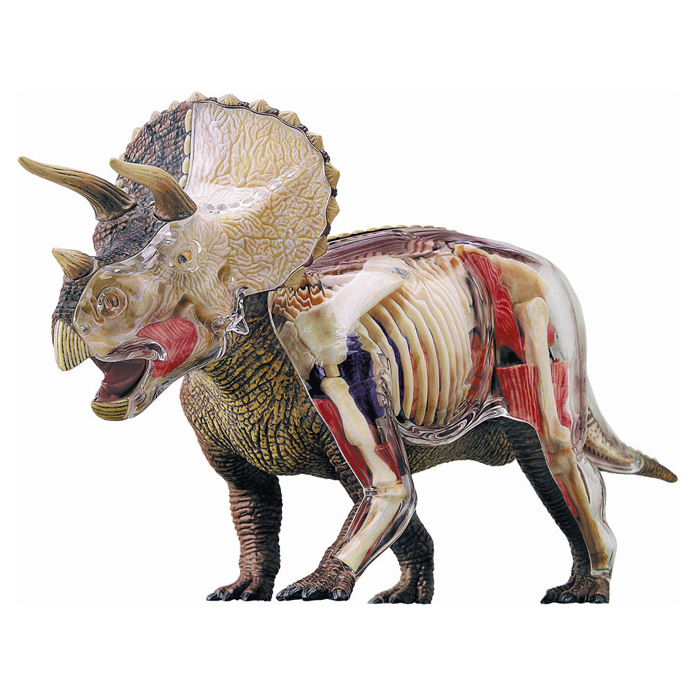 4D Master Triceratops Anatomy Model - Detailed Dinosaur Skeleton Learning Kit for Kids & Adults | STEM Educational Toy, Science Classroom Display & Home Decor Collection