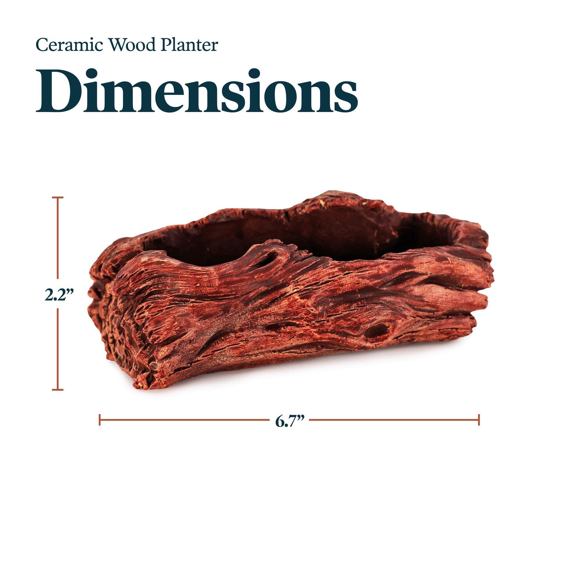 Ceramic Wood Plant Pot - Indoor Wood Planter for Succulents & Small Plants | Unique Log Planter with Natural Knot Design (Redwood) - Perfect for Home Decor, Office Desk & Gift Ideas