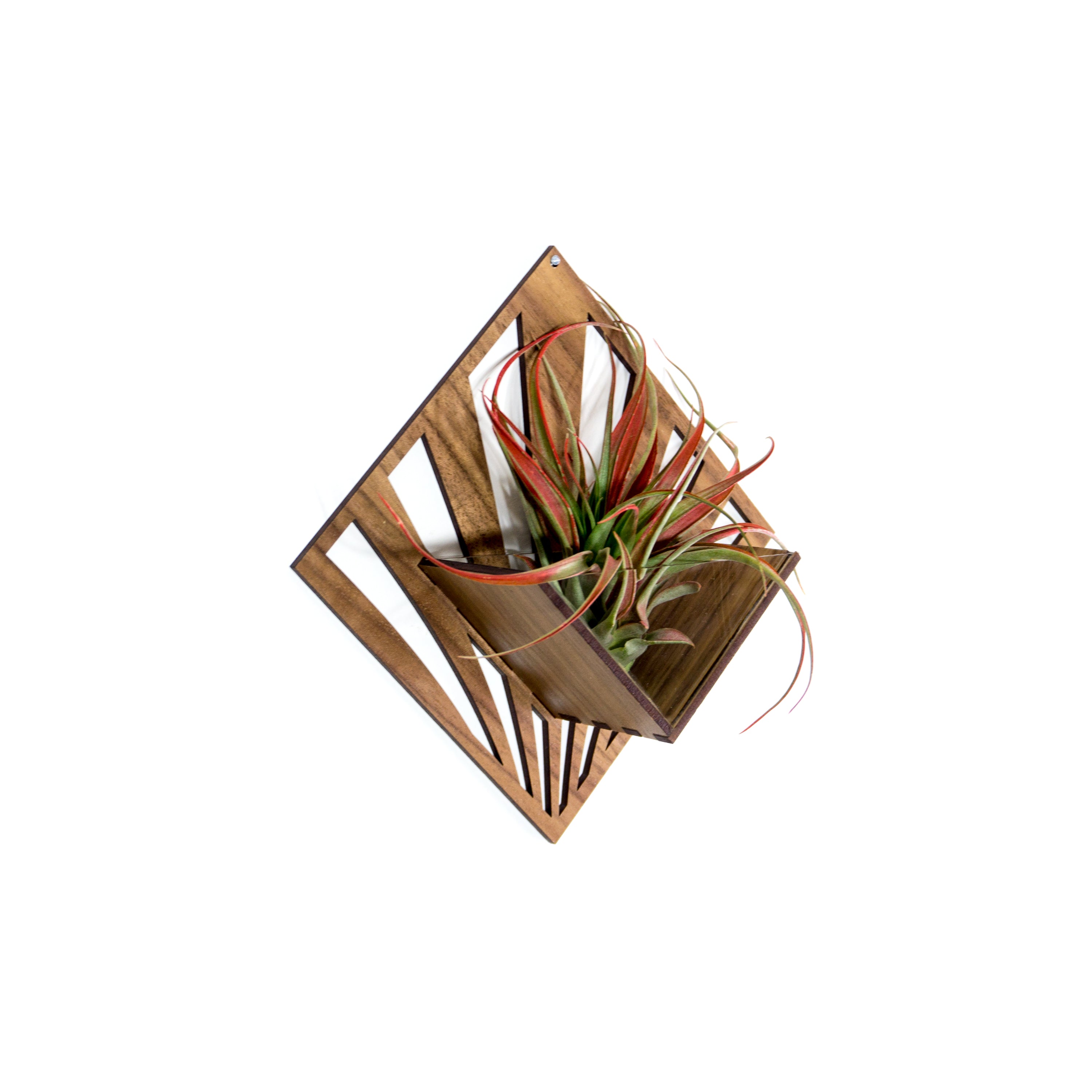 Handmade Wooden Quadrate Wall Planter Set of 2 - Air Plant Holder & Mounted Hanger Display for Tillandsia | Rustic Home Decor, Unique Plant Lover Gift Idea for Living Room, Bedroom or Office Decor
