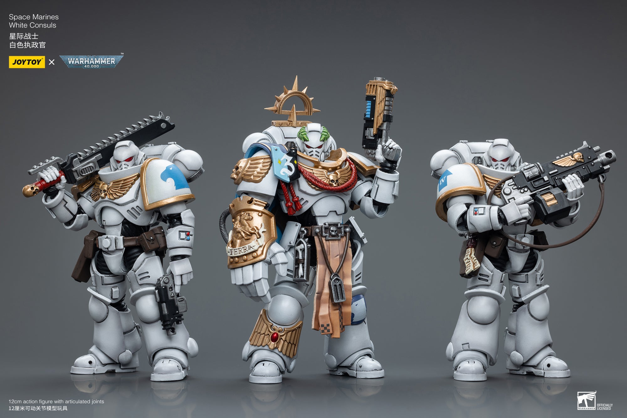1/18 JOYTOY Warhammer 40K Space Marines White Consuls Intercessors Action Figure Set (3pcs) - Perfect for Collectors, Wargaming, and Tabletop Battles