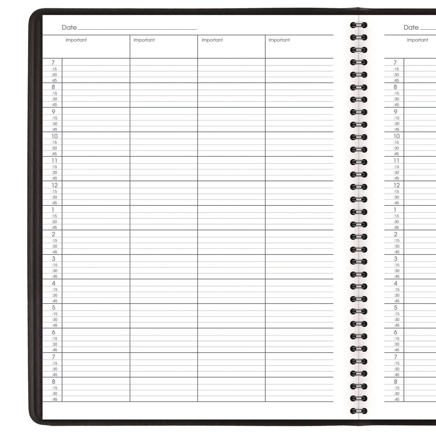 AT A GLANCE® 2024 Undated Daily Planner - 12 Month Appointment Book for 4 People (January to December), 10.88