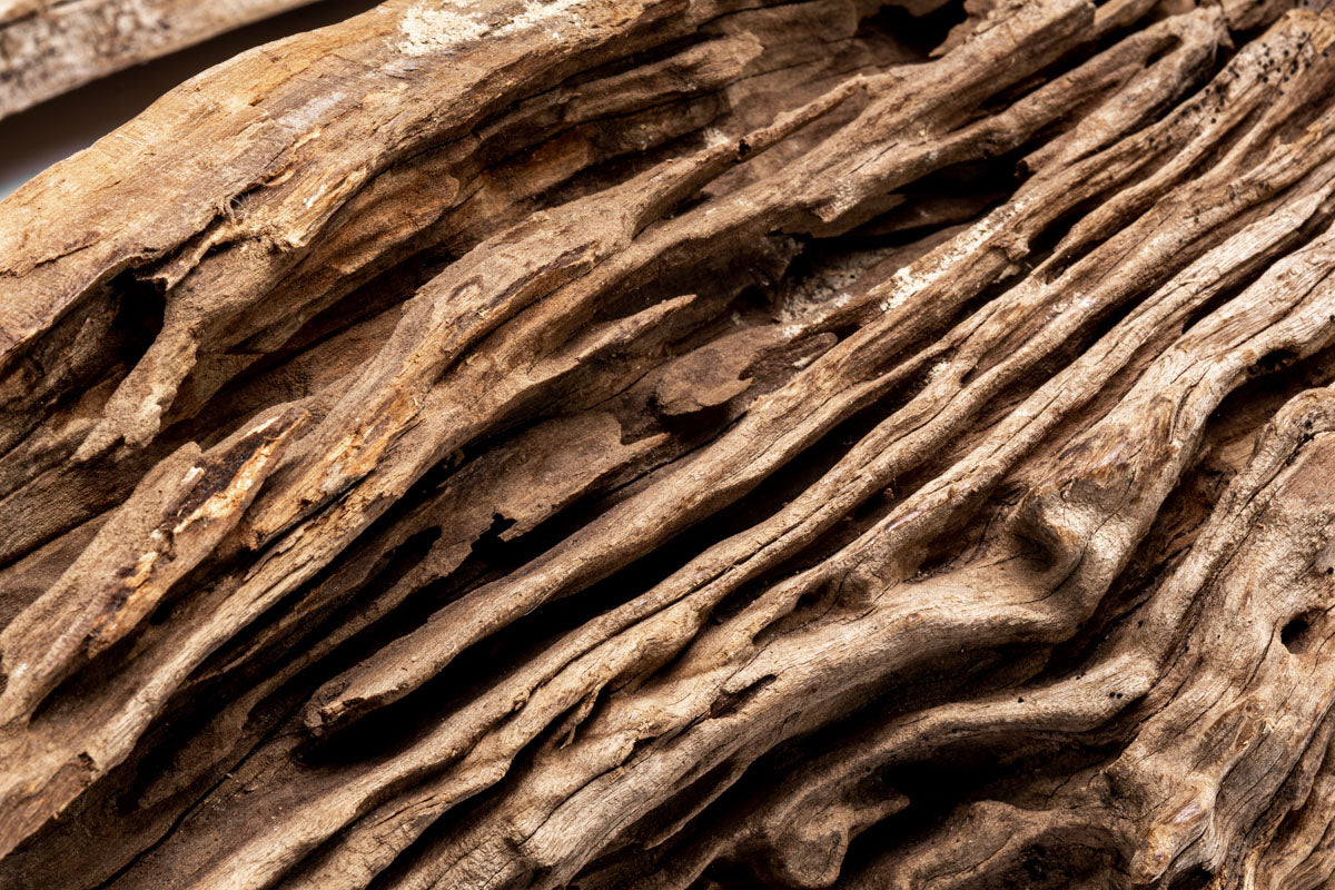 Natural Forest Driftwood for Home Decor - Rustic Wood Pieces for DIY Crafts, Aquarium, Terrarium & Wedding Centerpieces - Perfect for Beach Theme, Boho & Nature-Inspired Designs