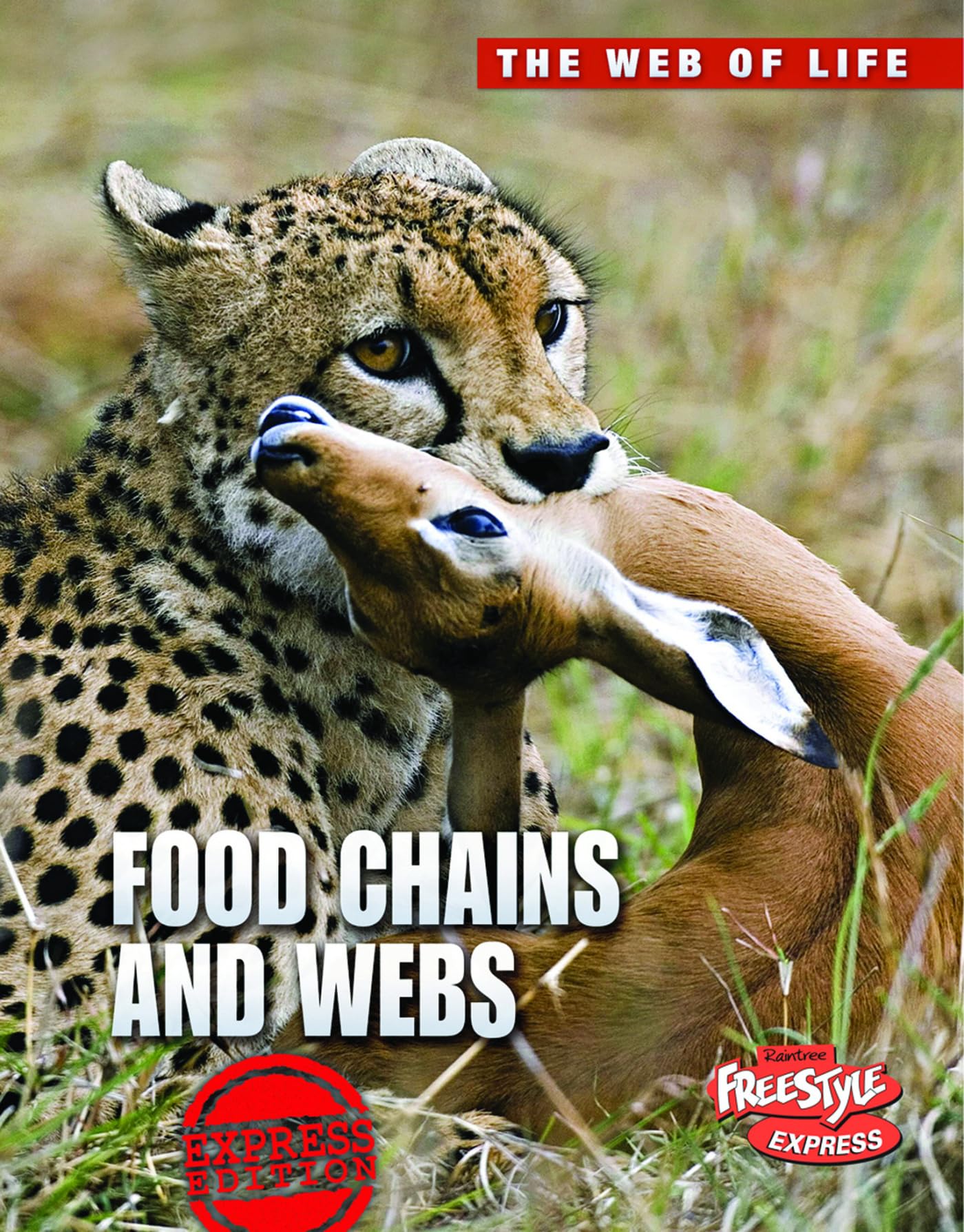 Food Chains and Webs (The Web of Life) - Understanding Ecosystem Relationships for Kids & Science Classrooms | Perfect for Homeschooling & Nature Study
