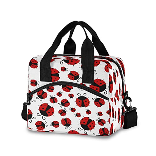 Ladybug