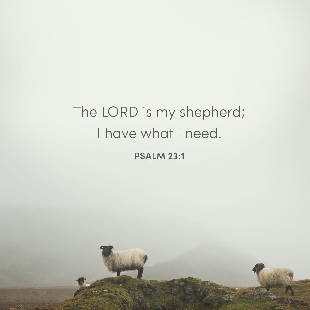 Psalm 23 Bible Study Book with Video Access - The Shepherd With Me - Christian Devotional Guide for Small Groups & Personal Reflection