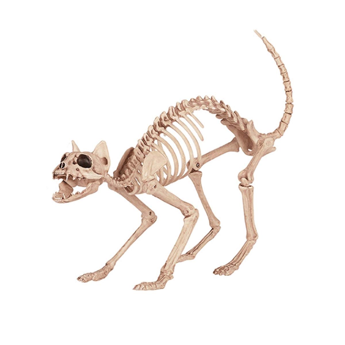 LKXHarleya Halloween Skeleton Kitty - Scary Skeleton Cat Decor for Halloween Party, Haunted House, Yard & Indoor Decoration - Perfect for Spooky Home Decor and Gothic Themed Events