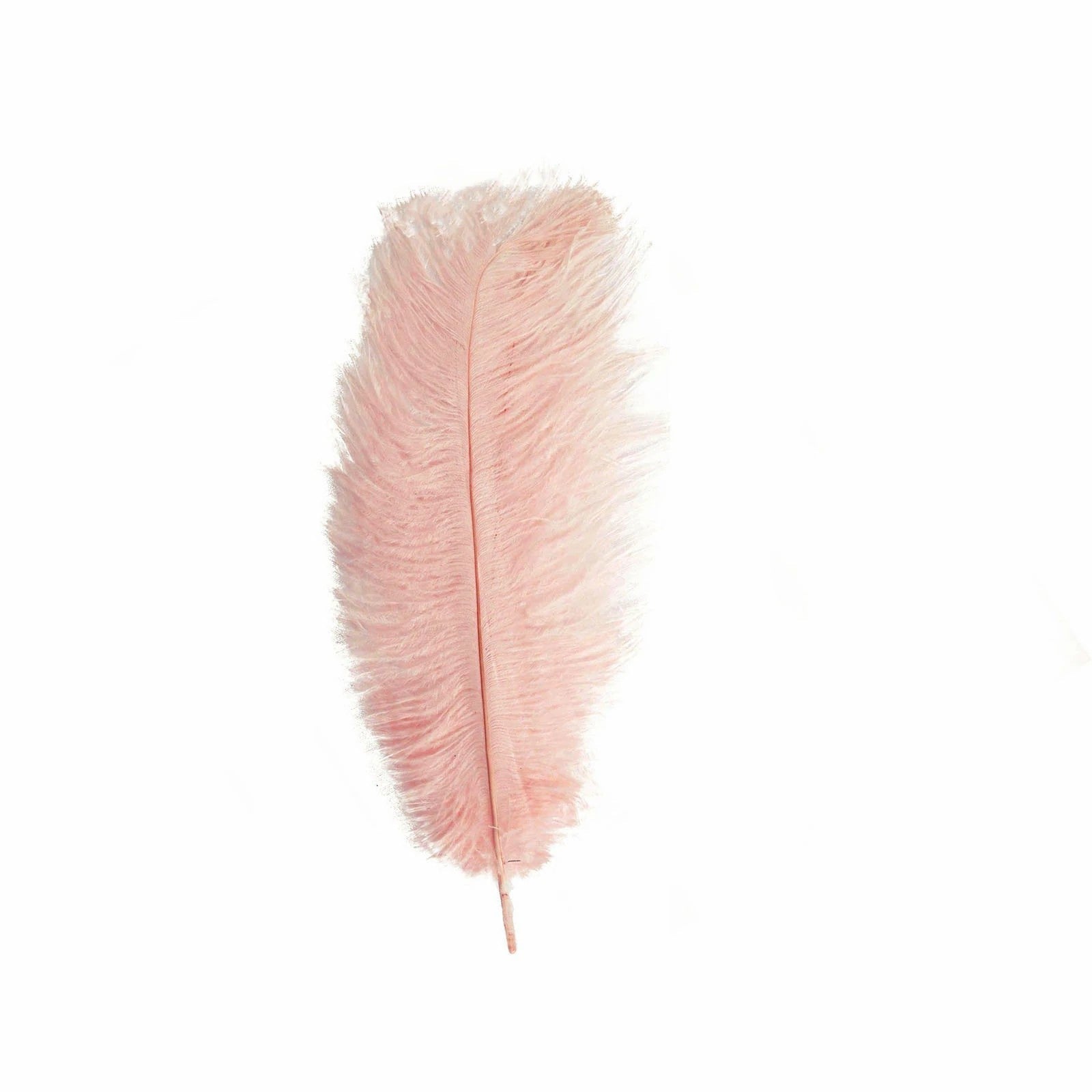 12 Pcs 10-15 Inch Genuine Ostrich Feathers for DIY Crafts, Wedding Decorations, and Costume Accessories