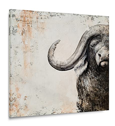 African Buffalo