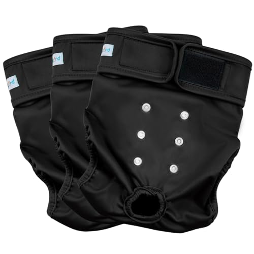 Black (Black Lining)