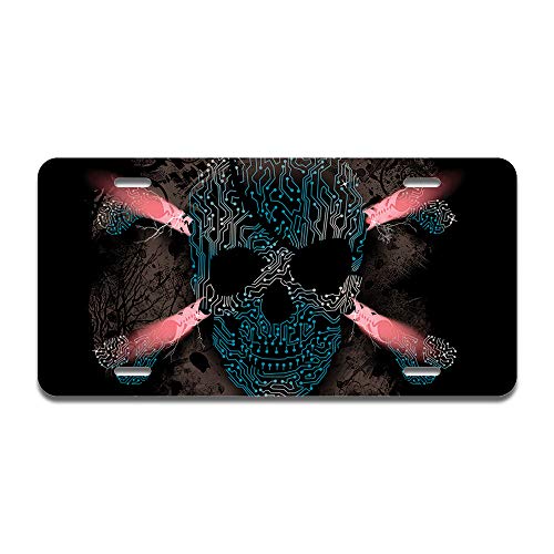 Cyber Pirate