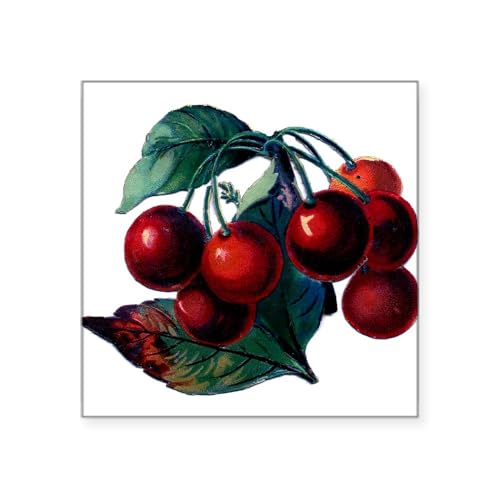 White - Vintage Cherry Big Red Juicy Cherries Fruit Sticke