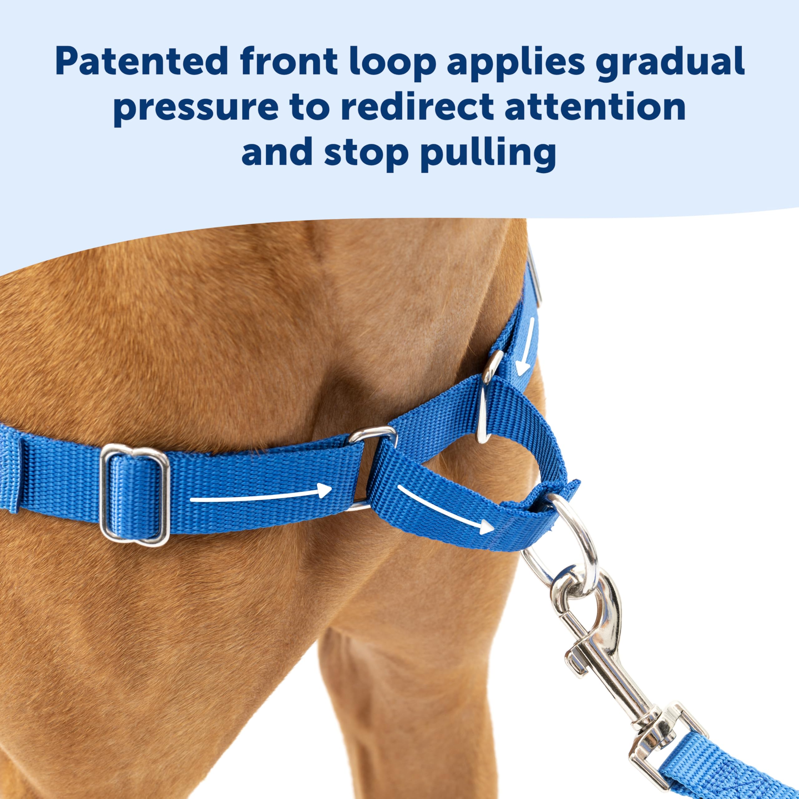 PetSafe Easy Walk No-Pull Dog Harness - Stop Pulling & Improve Leash Training - Comfortable Control for Small Dogs - Royal Blue/Navy Blue - Perfect for Walks, Hiking & Outdoor Adventures