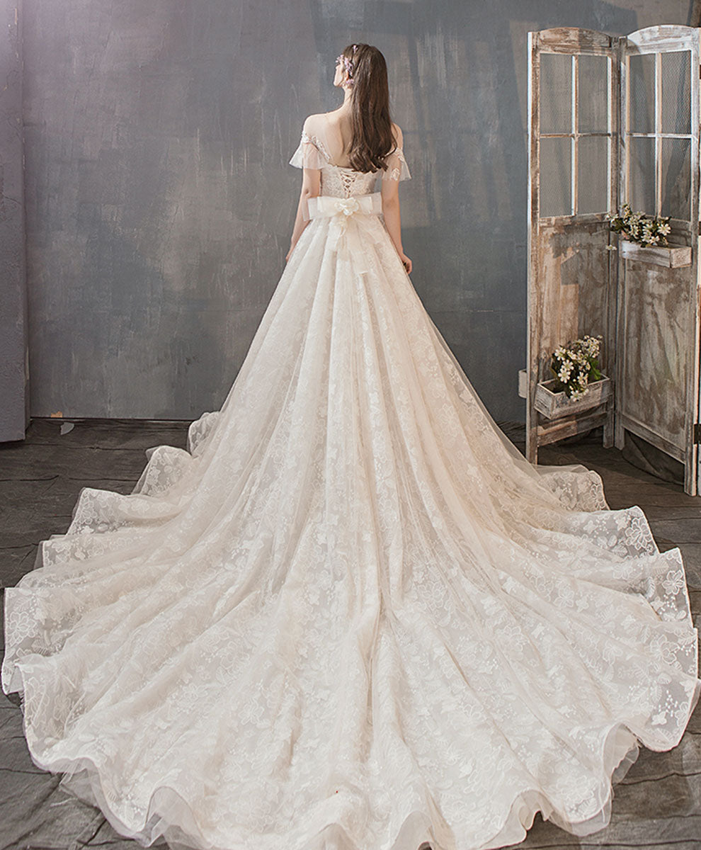 Elegant Light Champagne Tulle Lace Long Wedding Dress - Romantic Lace Bridal Gown for Beach, Church & Garden Weddings