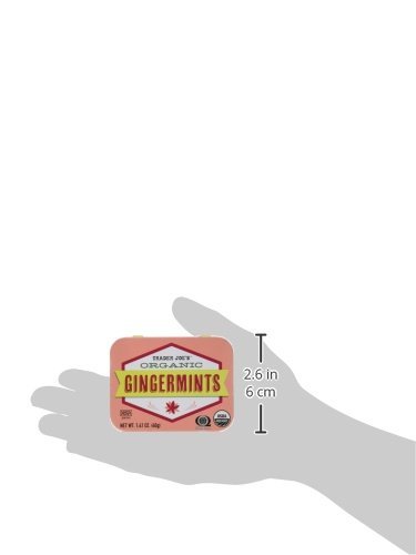Organic Gingermints Pastilles by Trader Joe's - 6 Pack (40g Each) | Refreshing Breath Mints for Travel, Office & After Meals