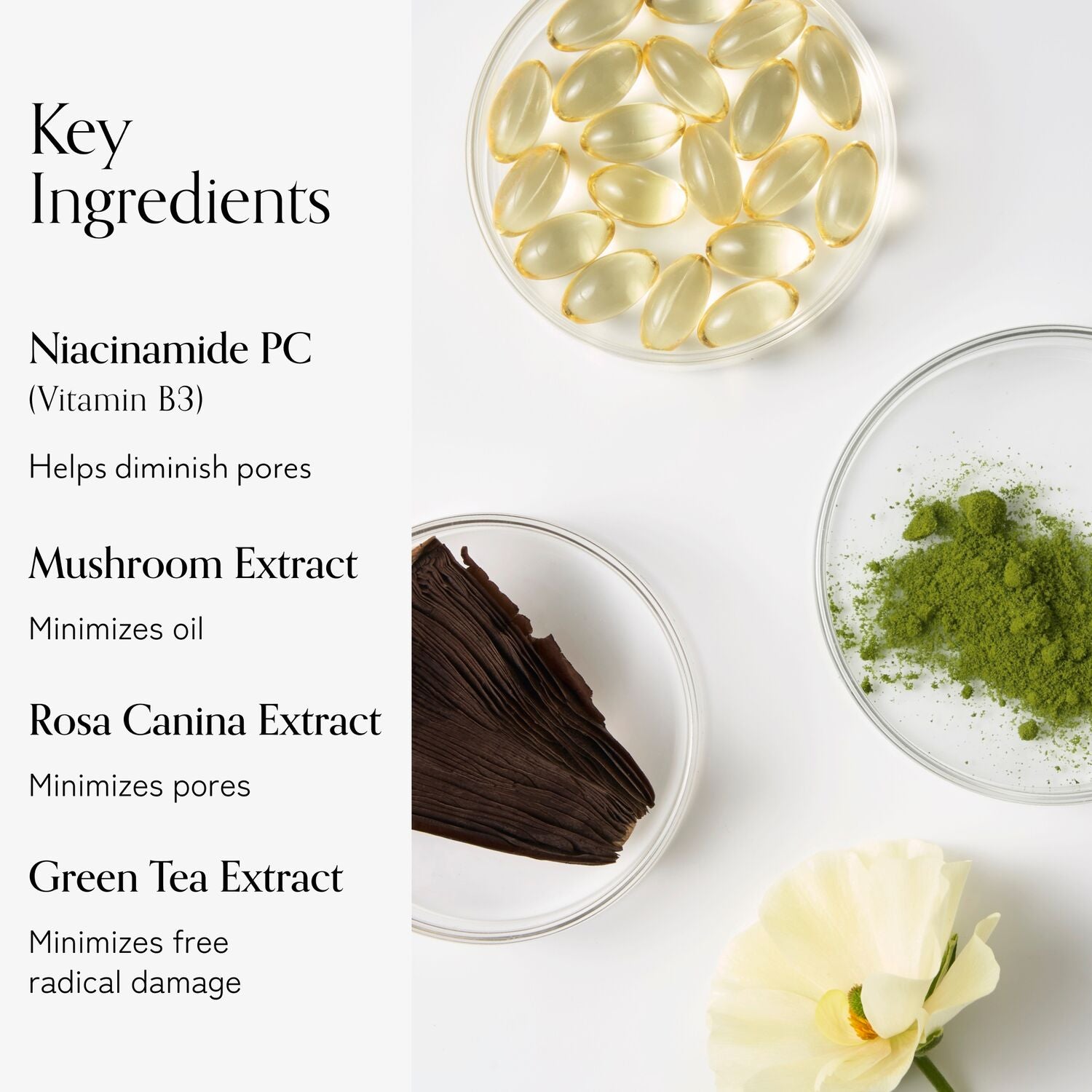 Niacinamide Pore Minimizing Serum for Clear Skin | Disappearing Act | Oil Control & Blemish Treatment | Perfect for Daily Skincare Routine