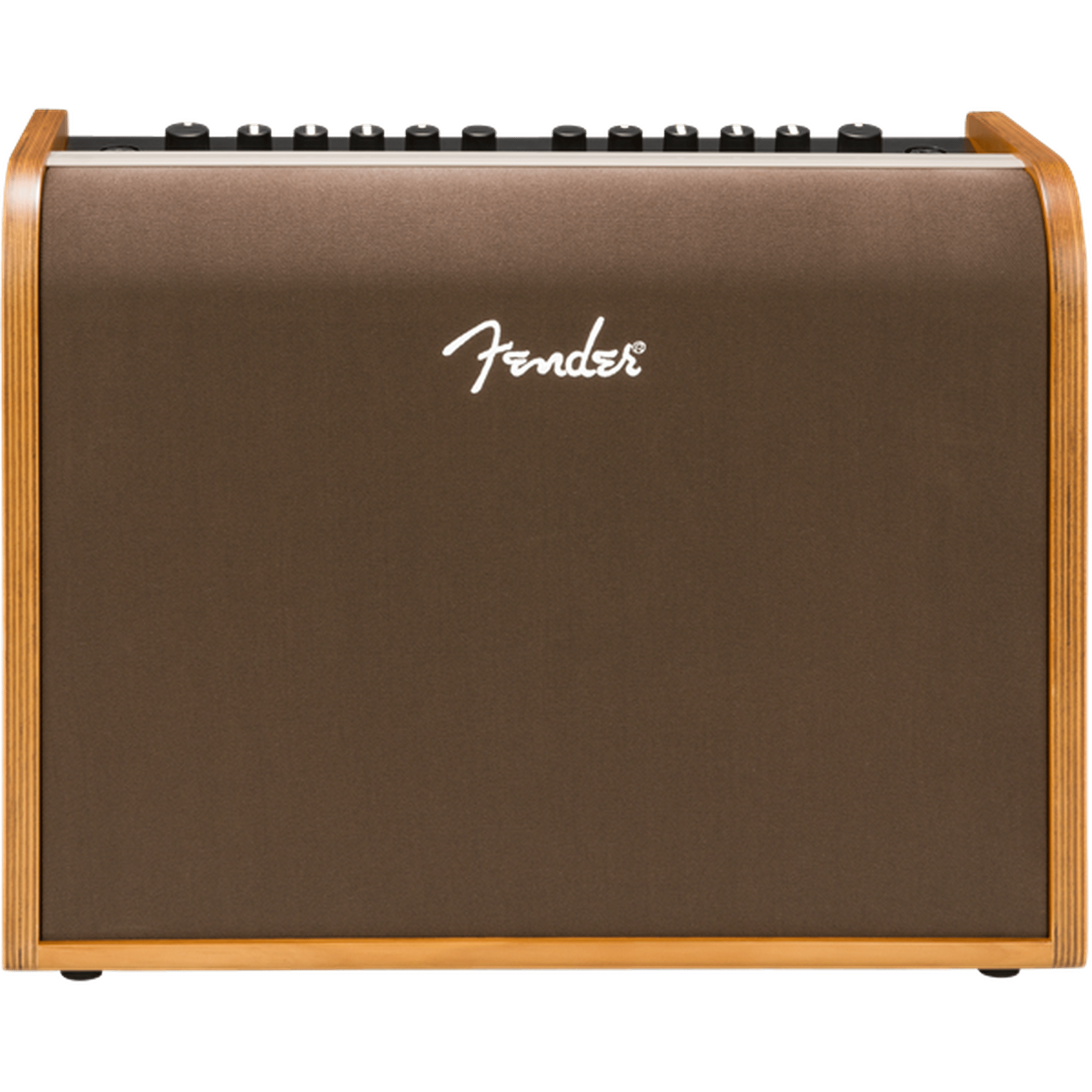 Fender Acoustic 100 Guitar Amplifier - 100W Acoustic Electric Guitar Amp with 2-Channel Input, Reverb & XLR Out - Perfect for Live Performances, Studio Recording & Home Practice