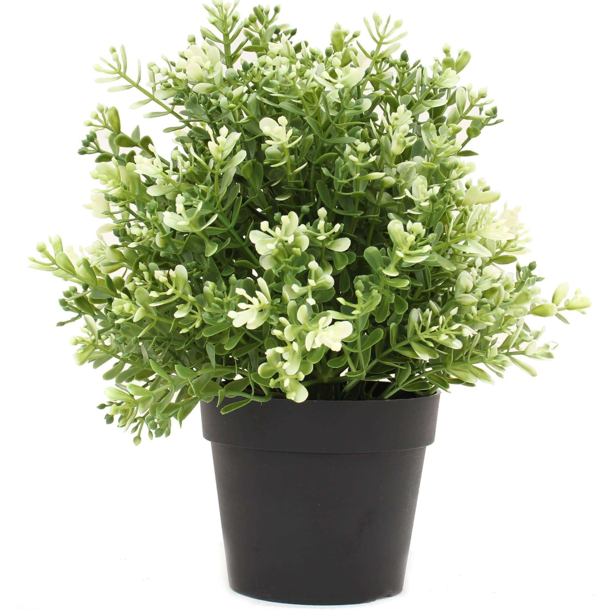 UV Resistant Small Artificial White Jade Potted Plant - 20cm Tall - Perfect for Home, Office, and Indoor Decor