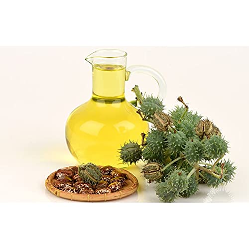 Kalans 100% Pure Refined Castor Oil - 100 ML (Pack of 2) for Hair Growth, Skin Care & Eyelash Treatment | Natural Moisturizer for Face, Body & Scalp