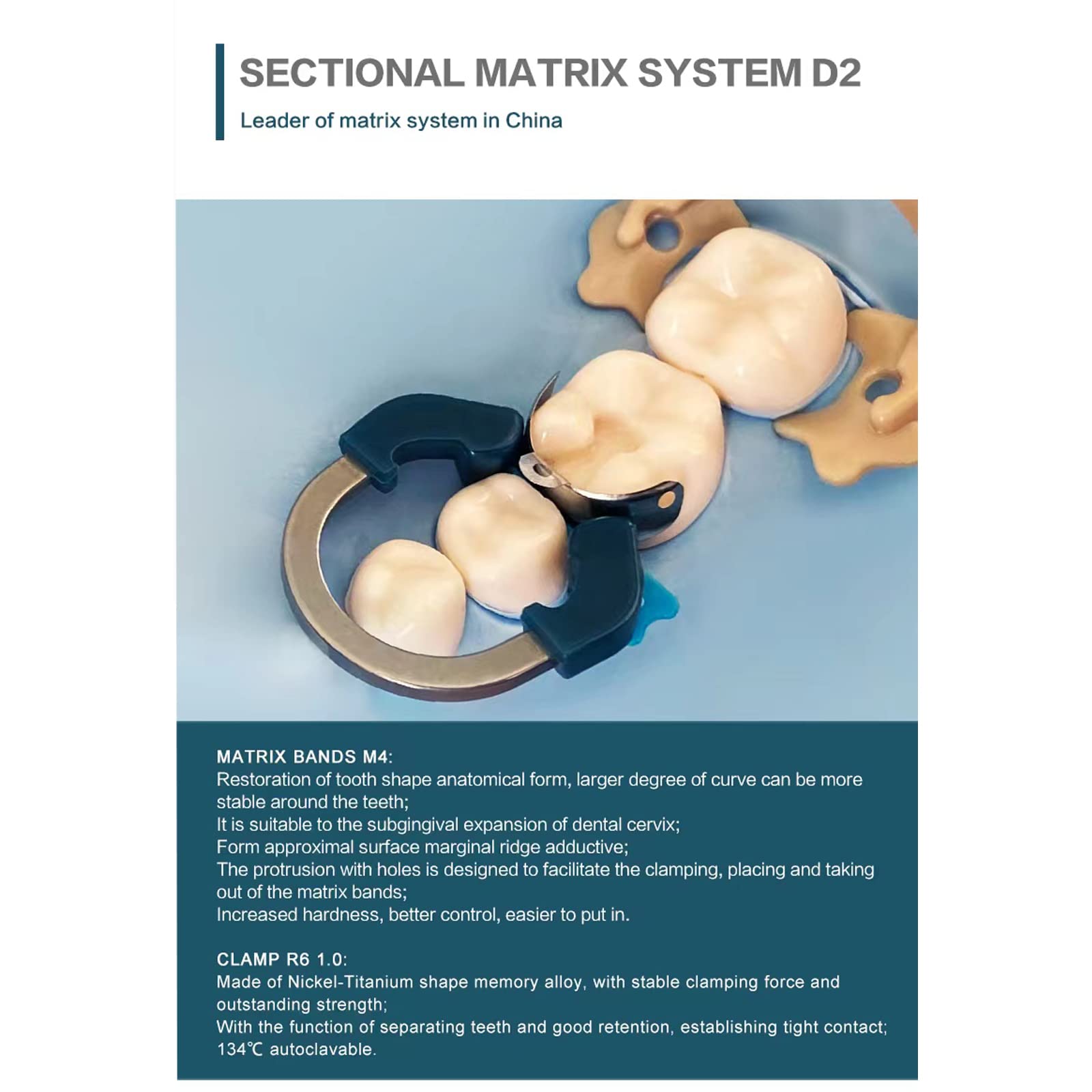 Autoclavable Dental Matrix System with NiTi Clamps for Resin Fillings