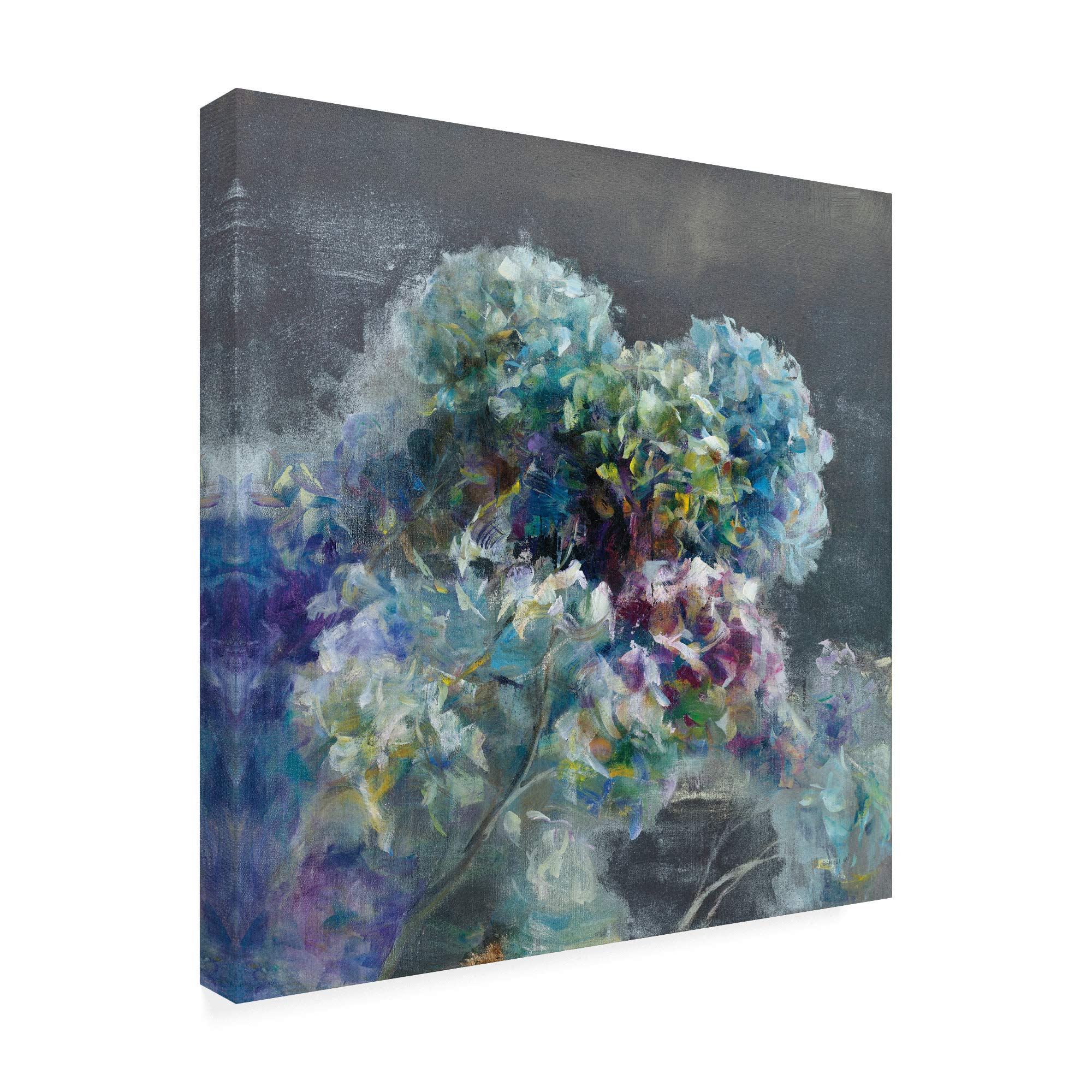 Danhui NAI Abstract Hydrangea Dark Art Print - 18x18 Inch Modern Floral Wall Decor for Living Room, Bedroom & Office | Trademark Fine Art
