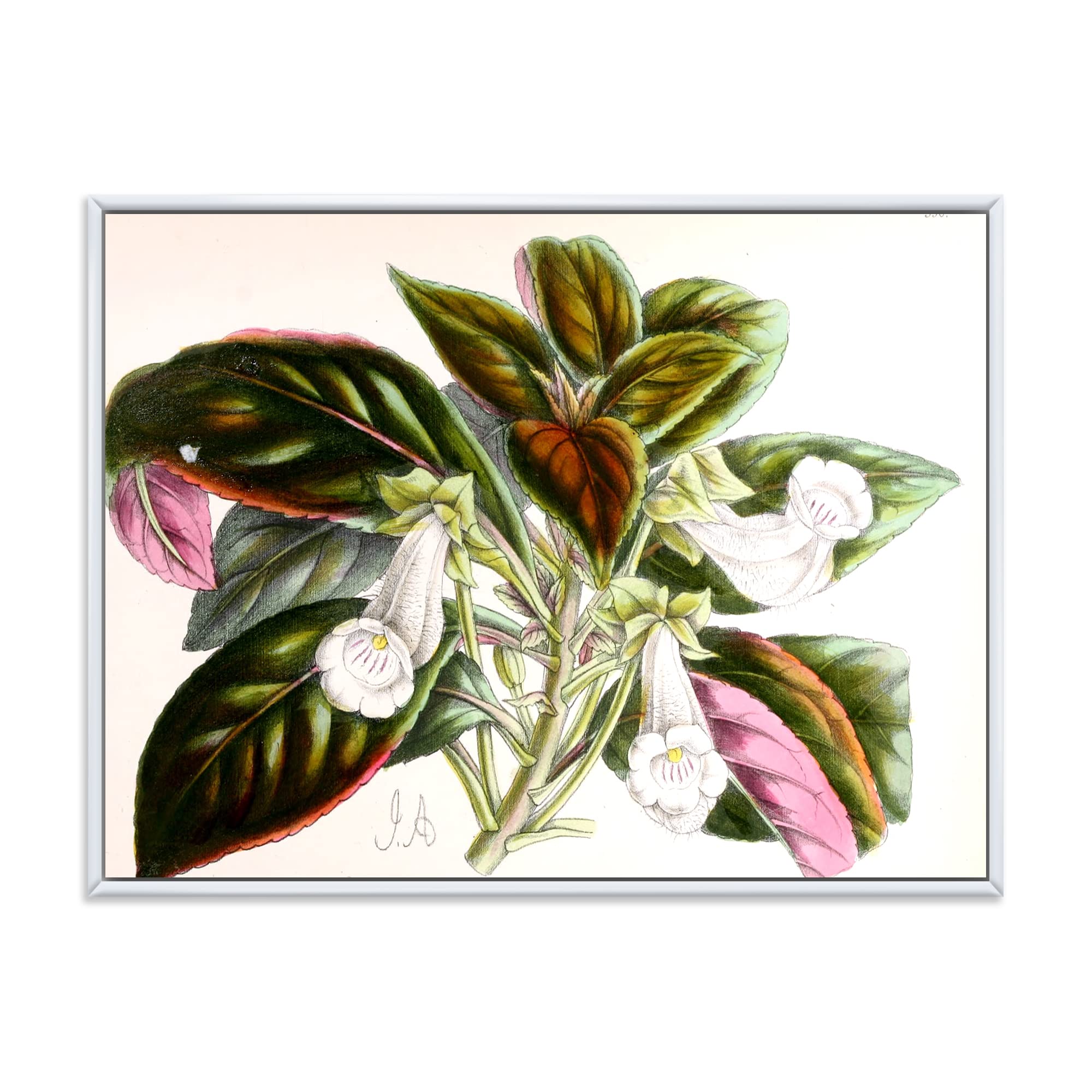 DesignQ Vintage Blossoming Flower V - Traditional Framed Canvas Wall Art Print for Living Room, Bedroom & Office Decor | Floral Home Decorations