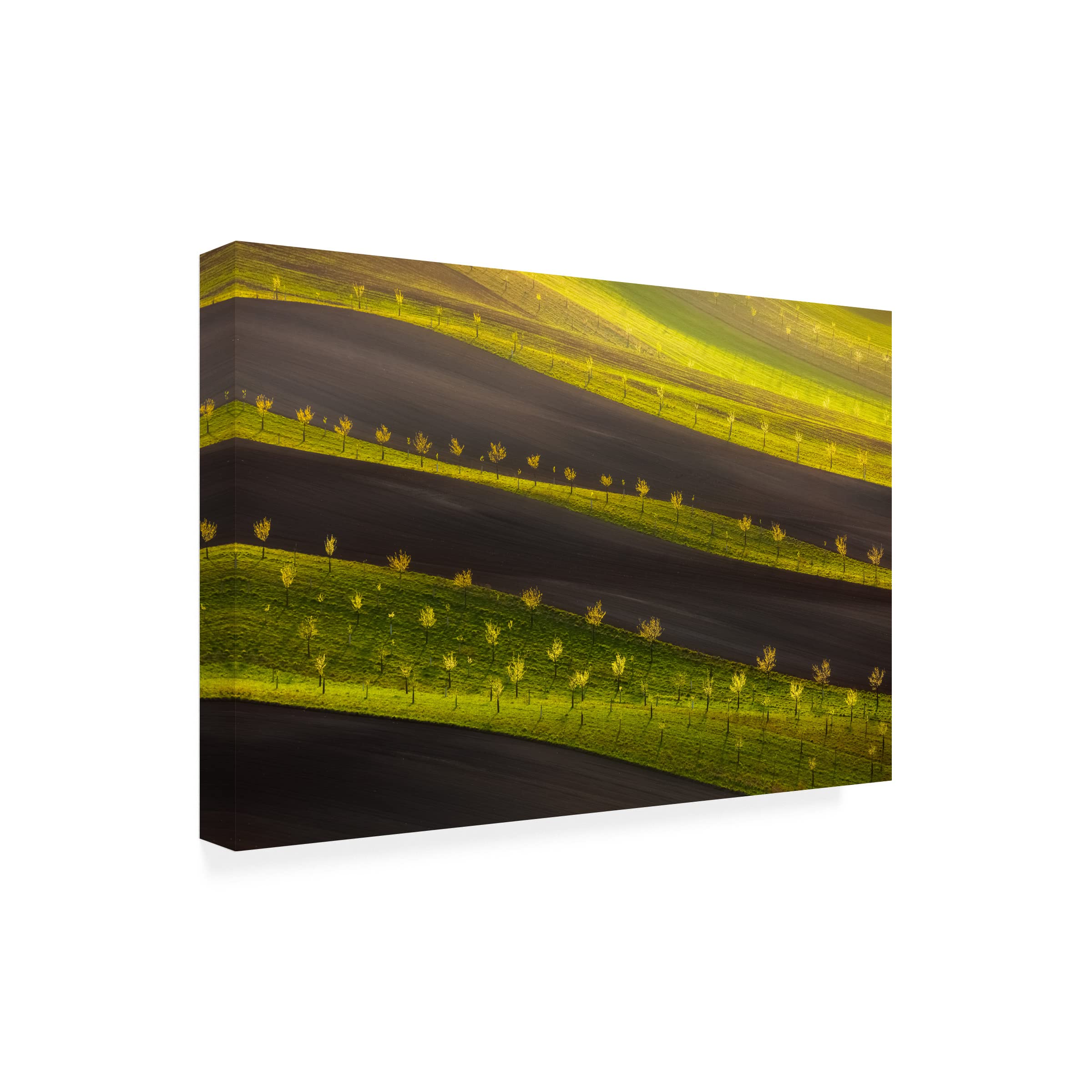 Trademark Fine Art 'Countryside' Landscape Canvas Wall Art by Tomasz Rojek - Perfect for Living Room, Bedroom & Office Decor
