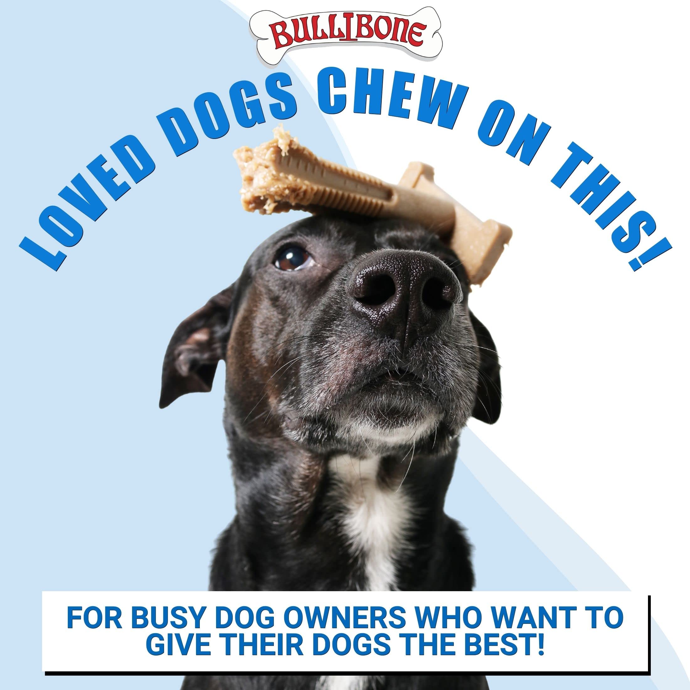 Bullibone SuperBrush: Long-Lasting Nylon Dog Toothbrush Chew Toy with Apple Cinnamon Flavor for Dental Health & Oral Care - Perfect for Puppy Teething, Fresh Breath & Playtime