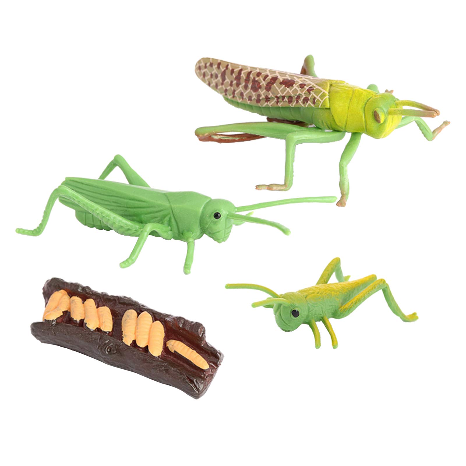 Nature Grasshopper Growth Life Cycle Playset - Educational STEM Toy for Kids, Insect Learning Kit for Science & Imagination Development - Perfect for Classroom, Homeschooling & Outdoor Exploration
