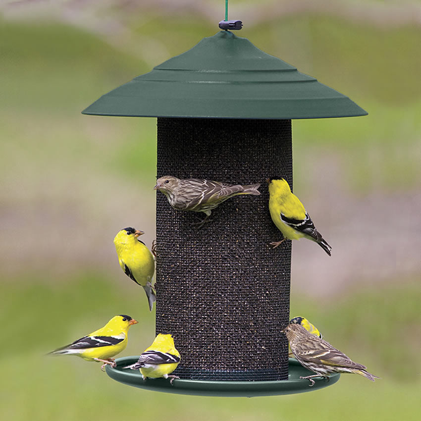 Premium All-Steel Magnum Nyjer Feeder - Durable Squirrel-Proof Bird Feeder for Finches & Small Birds | Perfect for Backyards, Gardens & Outdoor Bird Watching