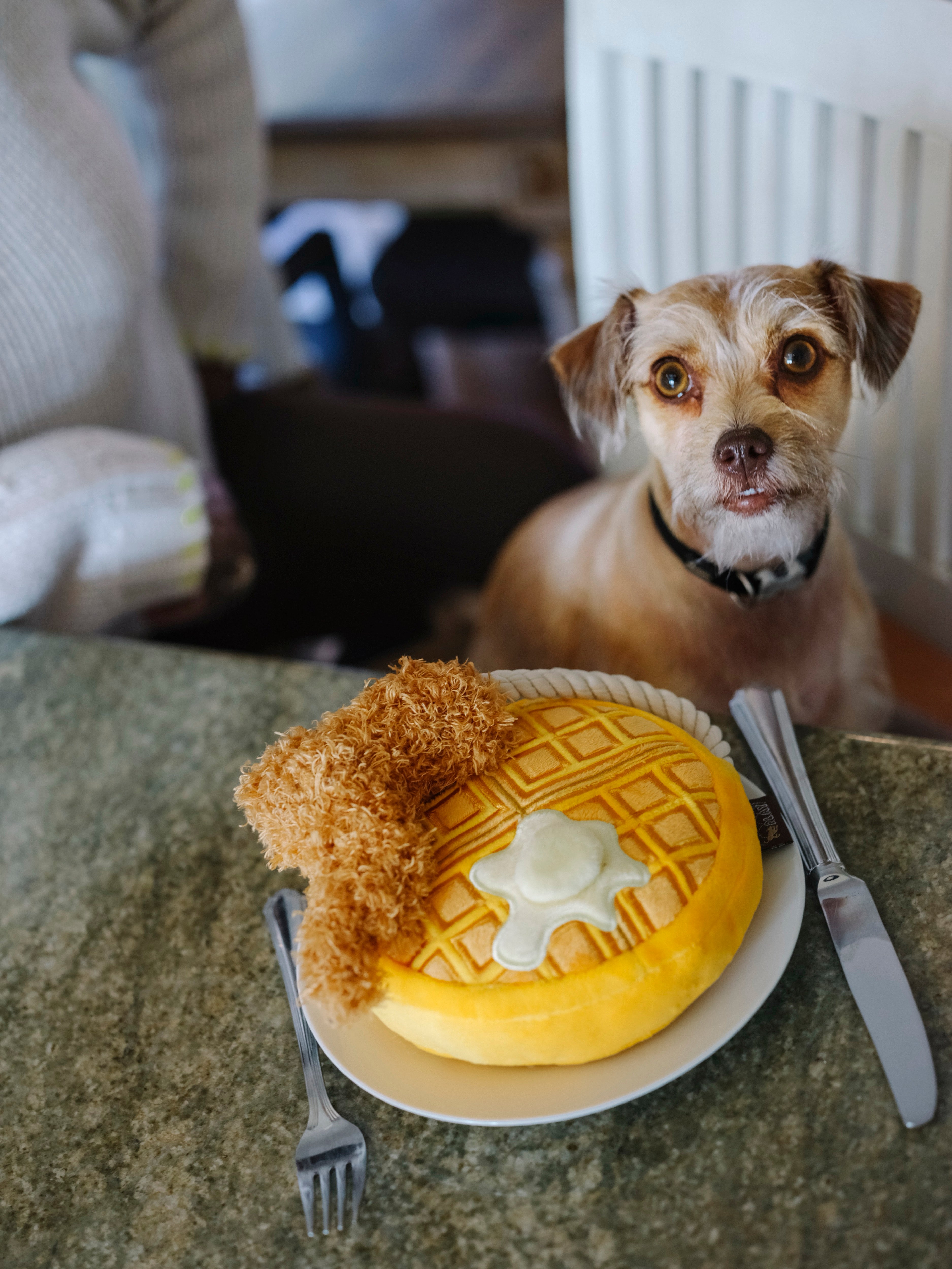 El Pollo y Waffle Plush Dog Toy - Barking Brunch™ Chew Toy for Dogs by Pet P.L.A.Y. | Soft & Durable Puppy Plaything for Fetch, Cuddling & Teething Relief