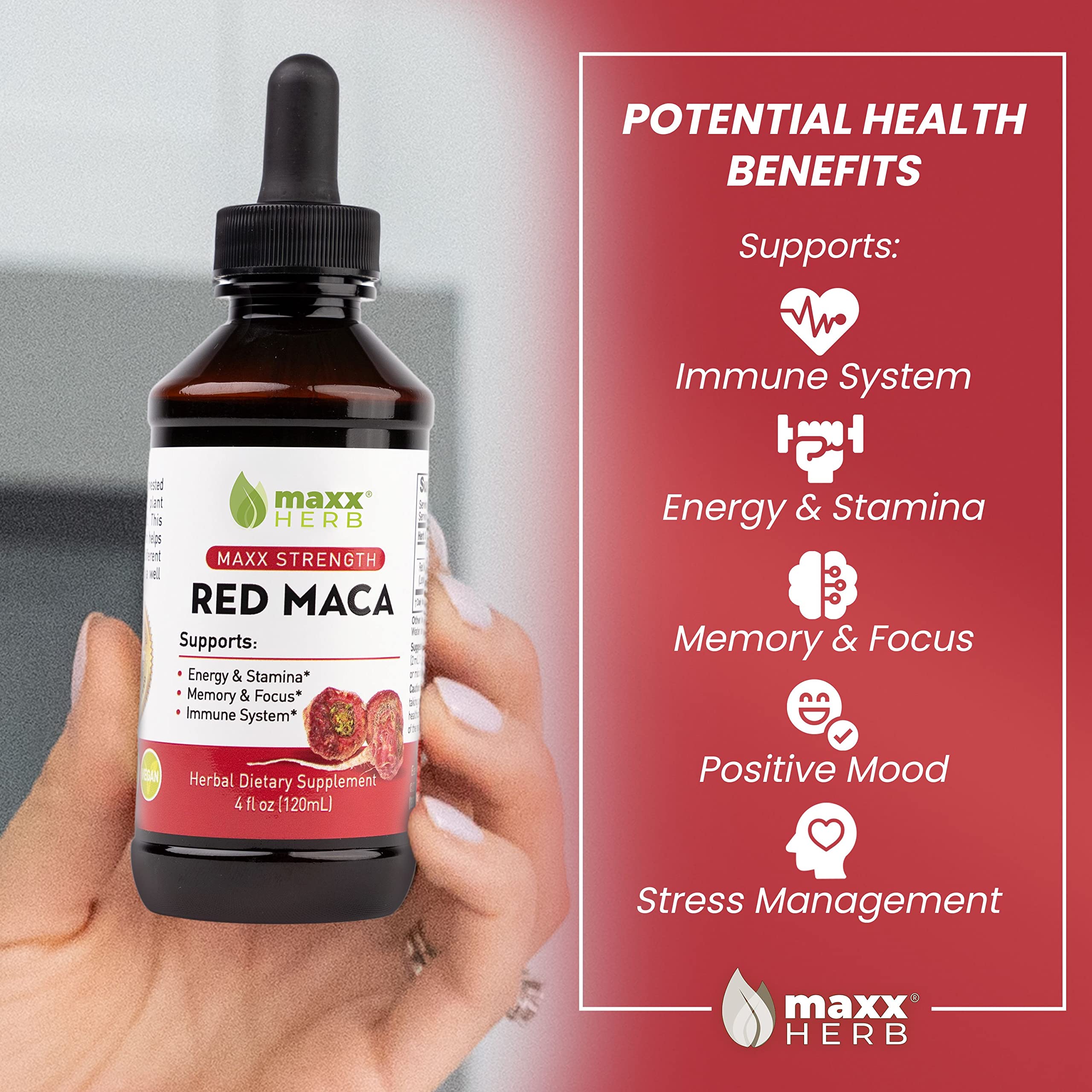 Maxx Herb Red Maca Root Extract - Max Strength Liquid Drops for Energy, Memory & Focus - Alcohol-Free Supplement - Better Absorption Than Powder or Capsules - 4 Bottles (4oz Each, 240 Servings) - Perfect for Workout Boosting, Study Focus & Daily Wellness Support