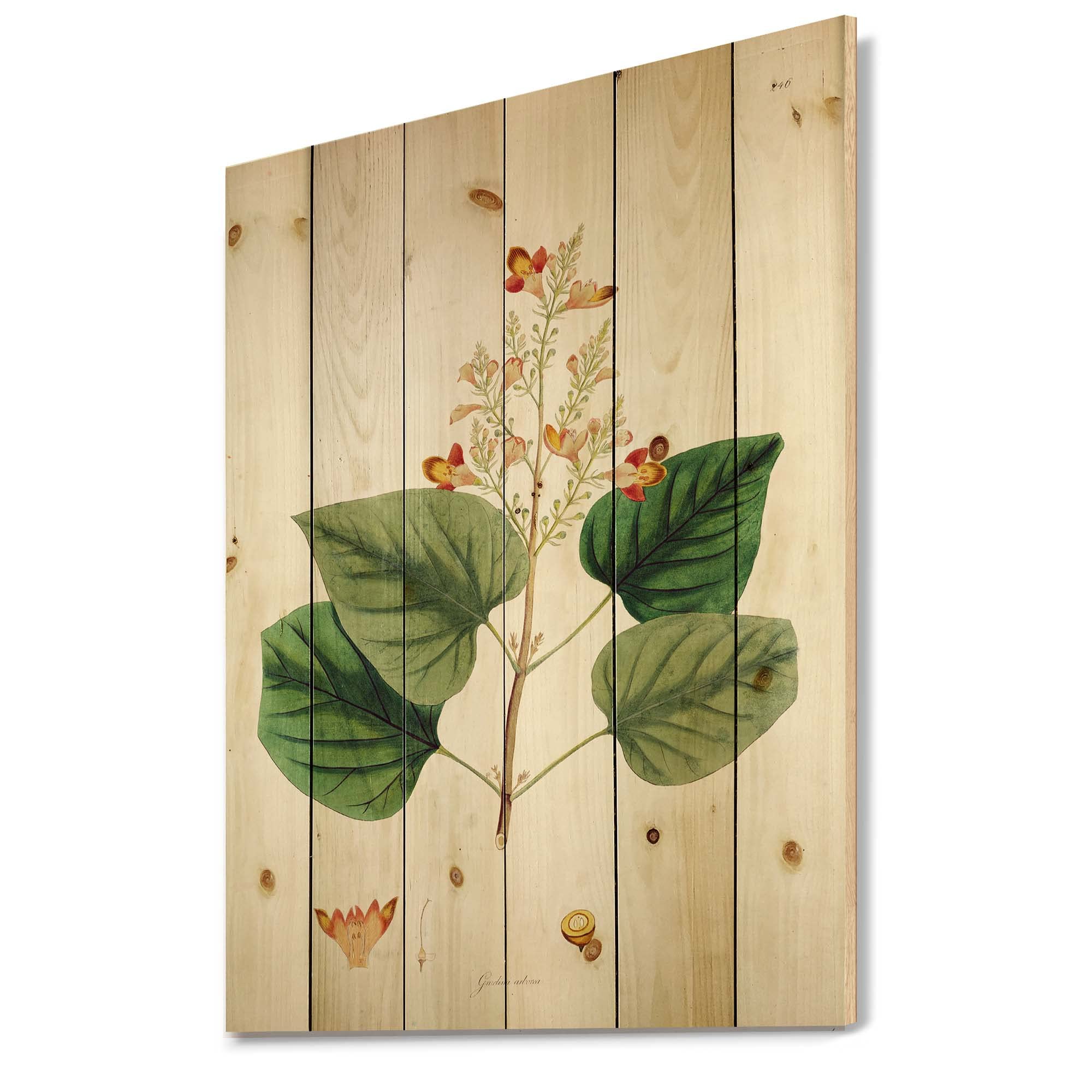 Vintage London Plants XII Farmhouse Wood Wall Decor - Large Floral Wood Wall Art Panel Printed on Natural Pine - Perfect for Living Room, Bedroom & Office Decor