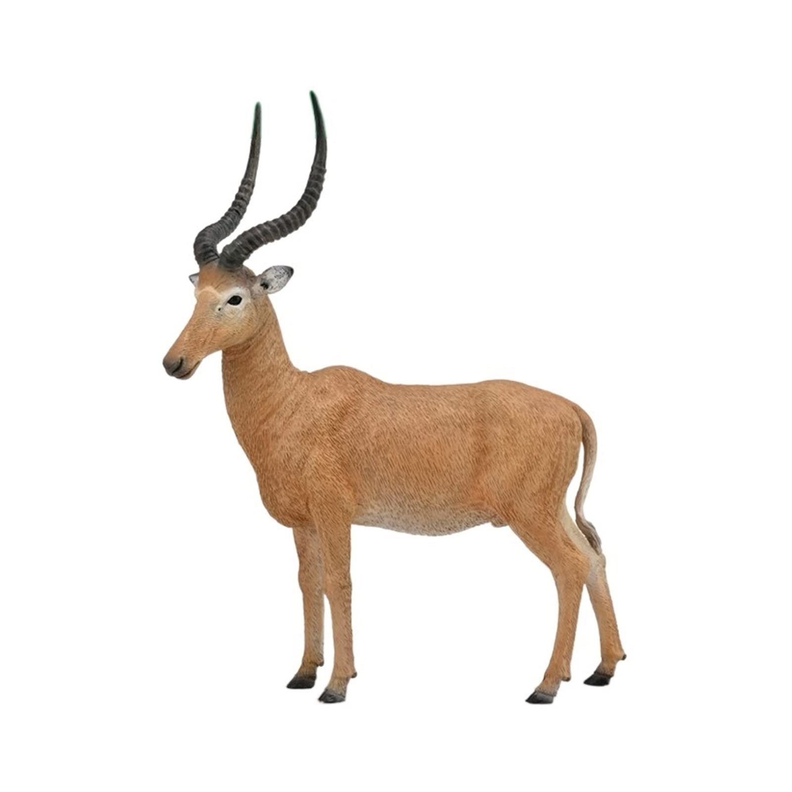 BELLAALONG Realistic Wildebeest Animal Figure Toy - Durable PVC Rubber Simulation Model for Kids, Home Decor, Jungle Themed Party & Creative Gift Ideas - Perfect for Educational Play, Collectibles & Safari Nursery Decor