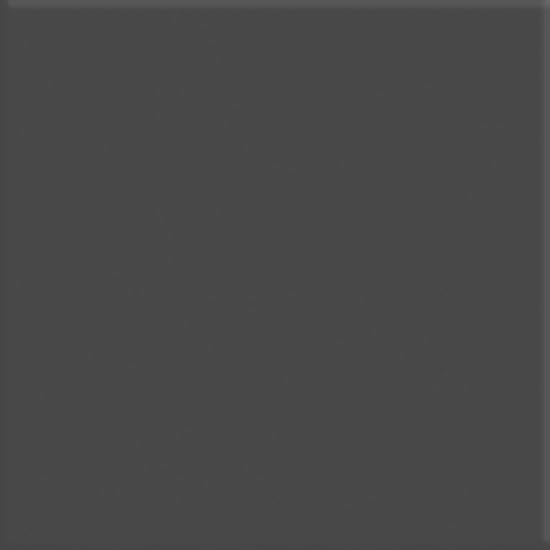 Gray Lid