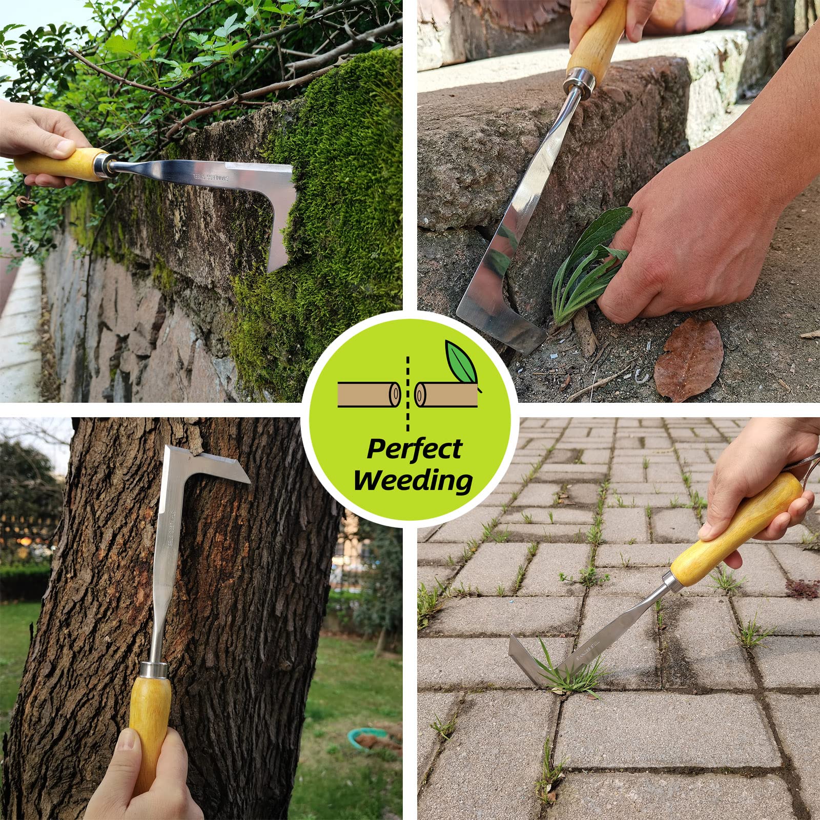 Stainless Steel Crack Weeder Tool with Ash Handle - Manual Crevice Weeding Tool for Lawn, Yard & Garden - Perfect Gardening Gift for Weed Removal Between Pavers and Sidewalks