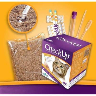 A Tale of Care: How One Cat's Life Changed with Early Detection