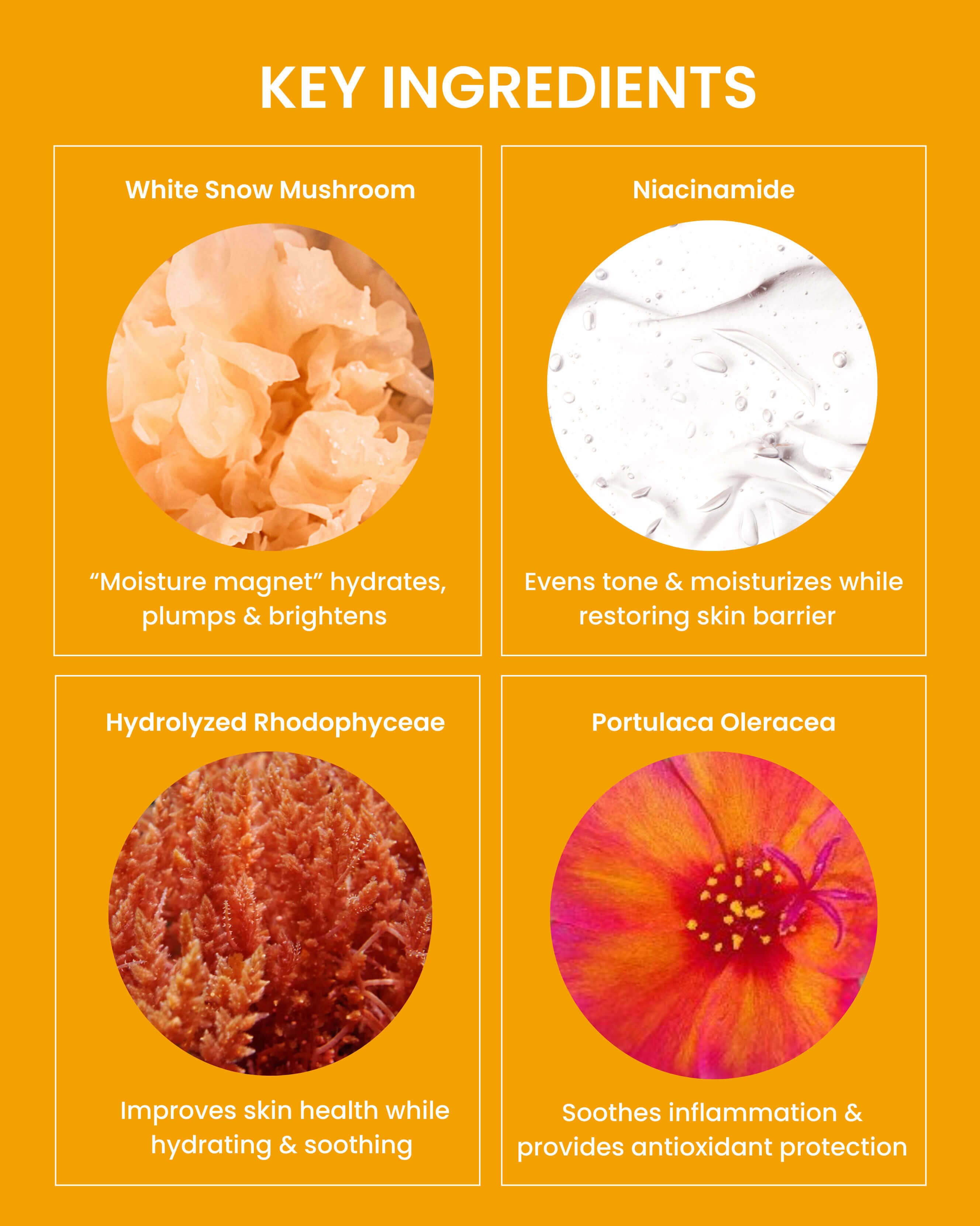 SundaSkin The Essential Hydrating Serum for Face - Vitamin C & Hyaluronic Acid Anti-Aging Moisturizer - Perfect for Dry Skin & Night Skincare Routine