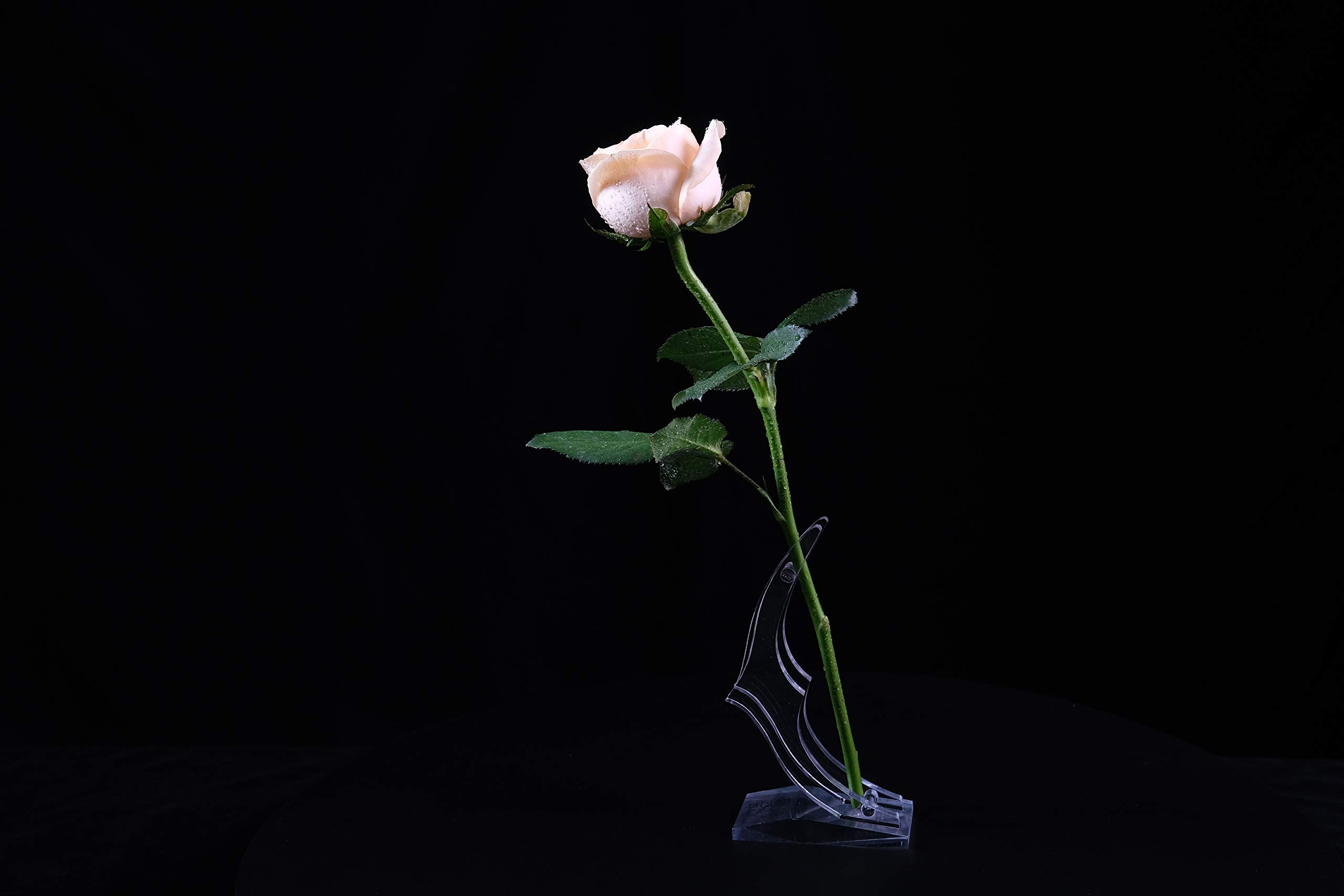 24K Gold Rose Display Stand - Transparent Base for Artificial Flower, Elegant Rose Shelf for Home & Room Decoration - Perfect for Wedding Centerpieces, Anniversary Gifts & Luxury Home Décor