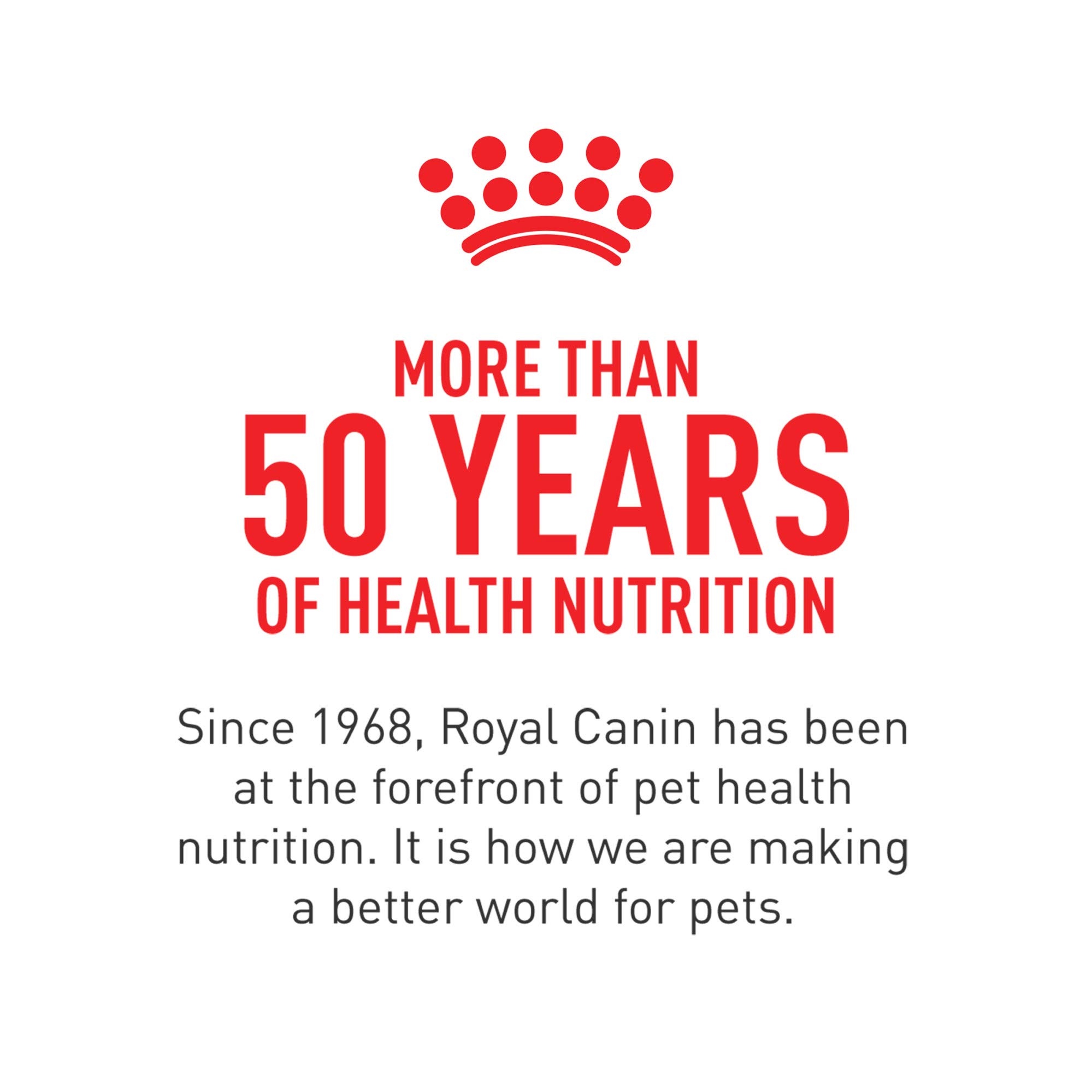 Royal Canin Small Adult 8+ Dry Dog Food for Senior Small Breed Dogs - 13 lb Bag - Supports Joint Health & Digestion - Perfect for Aging Small Dogs at Home or Travel