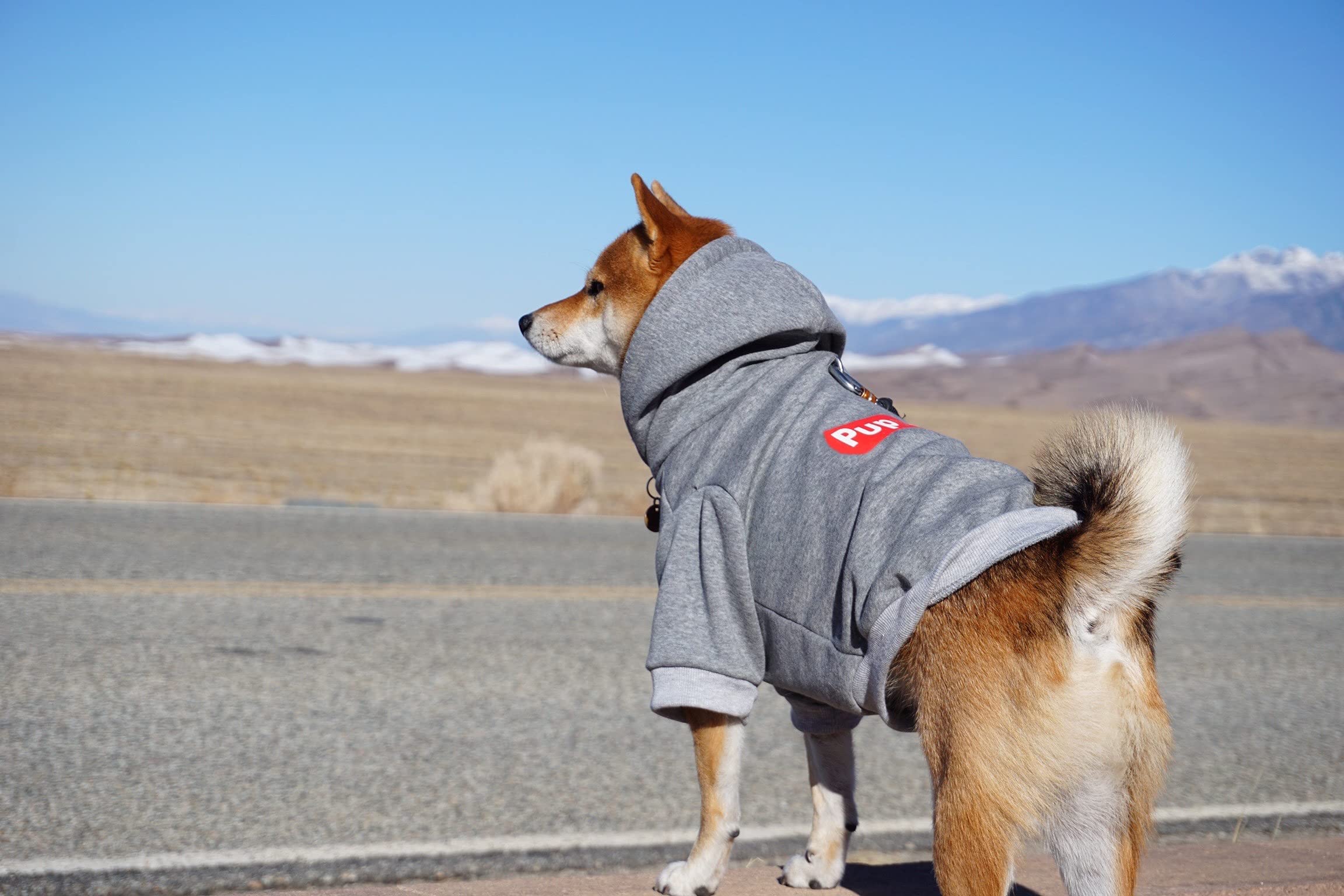 ChoChoCho Pup Dog Hoodie - Stylish Cotton Pet Sweater for Small, Medium, Large Dogs & Cats (4XL) - Cozy Streetwear Outfit for Winter Walks & Indoor Comfort