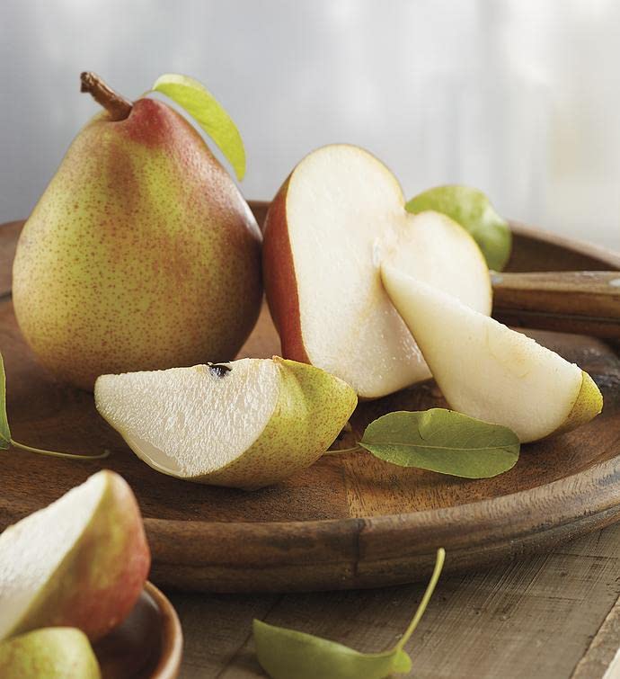 Harry & David Premium Gourmet Picnic Gift Basket with Pears, Cheese, Sausage & Crackers - Perfect for Outdoor Picnics, Camping & Holiday Gifting
