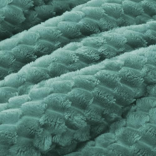 Eggshell Blue - Plaid Pattern