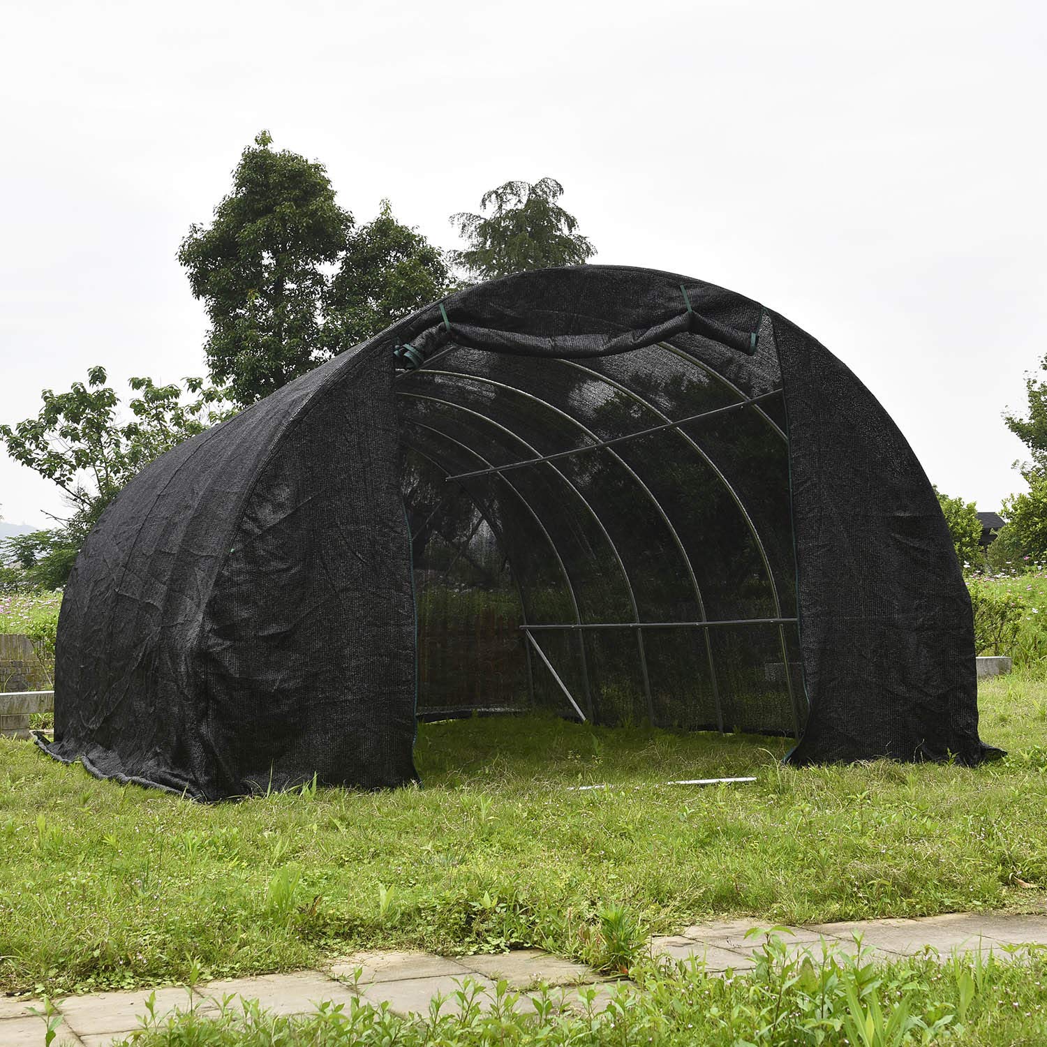 Walsport 9.8x19.7x6.6ft Walk-in Greenhouse with Roll-Up Door - Outdoor Tunnel Tent Sunroom for Patio, Lawn & Garden - Perfect for Seed Starting, Plant Protection & Year-Round Gardening