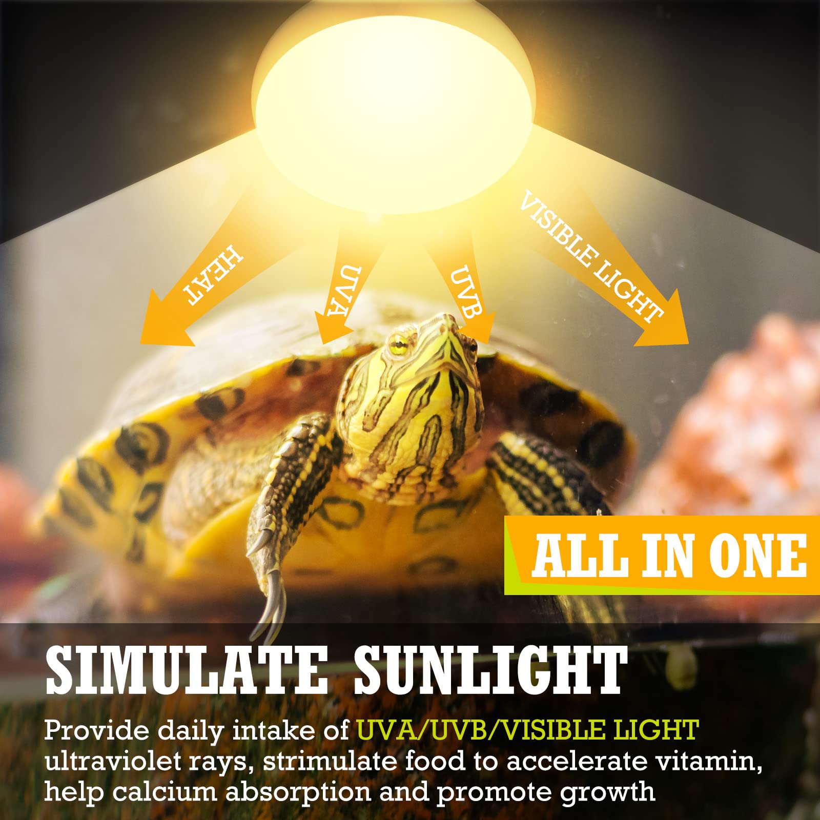 Tarpop 8-Pack 75W Reptile Heat Lamp Bulbs - UVA Basking Spotlights for Lizards, Turtles & Terrariums | Perfect for Reptile Tanks, Habitats & Enclosures