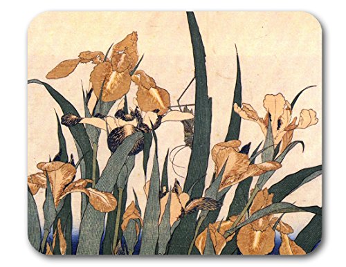 Convolvulus and Cricket
