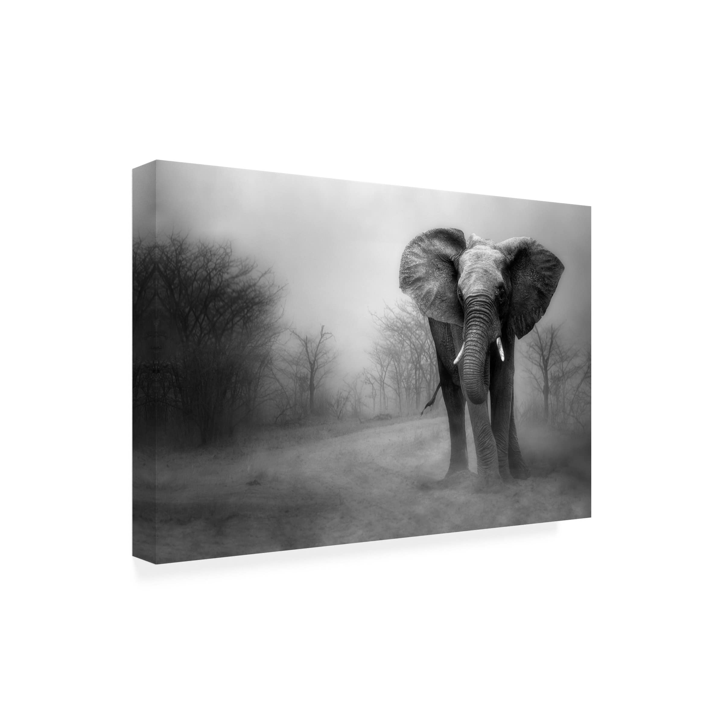 Trademark Fine Art 'The Big One' Canvas Wall Art by Charlaine Gerber - Stunning Ocean Wave Painting for Living Room, Bedroom & Office Decor