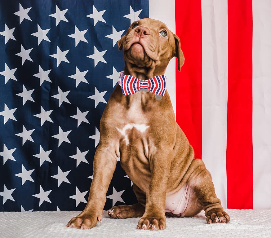 American Flag Dog Collar with Bowtie | Patriotic Cotton Pet Collar for Small Medium Large Dogs | Comfortable & Durable Memorial Day Accessory | Perfect for 4th of July, Veterans Day & Patriotic Events
