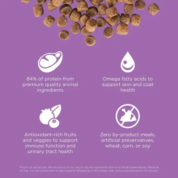 Go! Solutions Carnivore Grain-Free Dry Cat Food with Chicken, Turkey & Duck - High Protein Recipe for Indoor & Outdoor Cats - Perfect for Weight Management & Sensitive Stomachs
