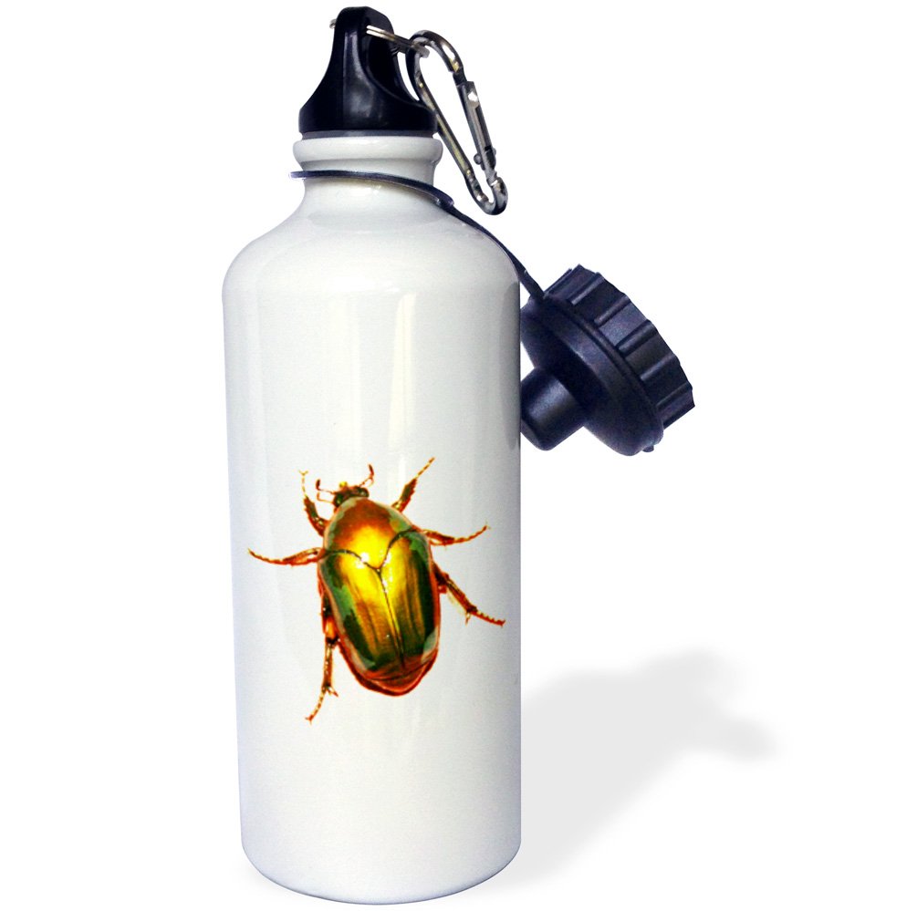 3D Rose Golden Scarab Beetle Sports Water Bottle - 21 oz Insulated Stainless Steel Water Bottle for Gym, Hiking & Outdoor Activities - BPA Free White Water Bottle with Leakproof Lid